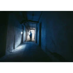 Ansmann DAILY USE LED ZAKLAMP 315LM 300B Best