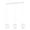 Eglo CHIUSELLO-Z hanglamp staal wit / glas, kunststof helder, wit H: 1100 mm Clearance