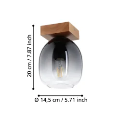 Eglo FILAGO Plafondarmaturen hout, staal bruin / Glas zwart, grijs, transparant H: 200 mm | Ø 145 mm New