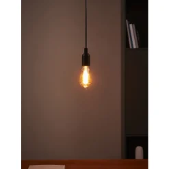 Eglo LEDE27 Lichtbron / Glas amber Ø 64 mm New