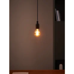 Eglo LEDE27 Lichtbron / Glas amber Ø 80 mm Best