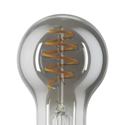 Eglo LEDE27 Lichtbron / glas gestoomd zwart-transparant Ø 60 mm Best