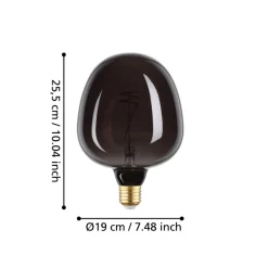 Eglo LEDE27 Lichtbron / Glas zwart Ø 190 mm New