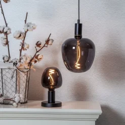 Eglo LEDE27 Lichtbron / Glas zwart Ø 190 mm New