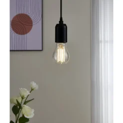 Eglo LEDE27 Lichtbron / Glas helder Ø 60 mm Online