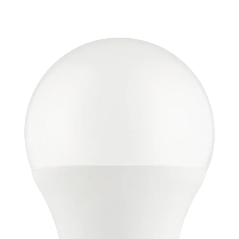 Eglo LEDE27 Lichtbron / Kunststof opaal Ø 60 mm Discount