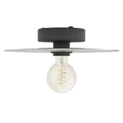 Eglo LINTMILL Wand-/plafondlamp staal zwart / Glas grijs H: 75 mm | Ø 300 mm New