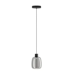 Eglo MOLOCHIO-Z hanglamp staal zwart / glas gestoomd zwart-transparant H: 1100 mm | Ø 180 mm