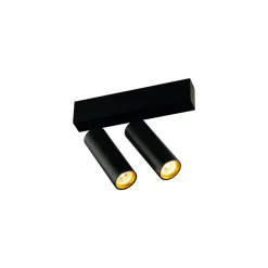 Fantasia Lopal 2L 4W 360LM ceiling  sandy black Best