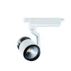 Fantasia NITRIX 3F track spot white empty body New