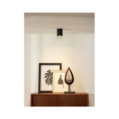 Lucide Bodi Plafondlicht Rond Zwart 09100/01/30 Online