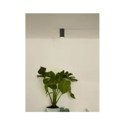 Lucide DELTO - Plafondspot - Ø 5,5 cm - LED Dim to warm - GU10 - 1x5W 2200K/3000K - Grijs Outlet