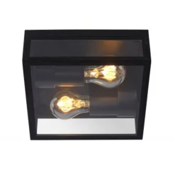 Lucide DUKAN - Plafonnière Buiten - 2xE27 - IP65 - Zwart New