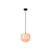 Lucide MEDINE Hanglamp-Opaal-Ø25-1xE27-40W-Glas Best