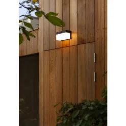 Lutec FRAN Wandlamp Zwart LED 9,7W