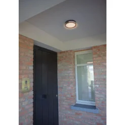 Lutec ROLA Wand / plafondlamp Donkergrijs LED 13W Clearance