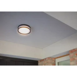 Lutec ROLA Wand / plafondlamp Donkergrijs LED 13W Clearance