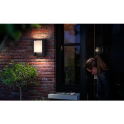 Philips Lighting Arbour wall lantern anthracite 1x6W 230V Hot