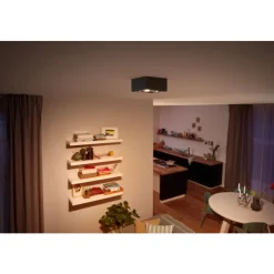 Philips Lighting BOX special form black 4x4.5W SELV Clearance