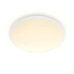 Philips Lighting Cavanal SS RD 12W 27K W HV IP20 06 Clearance