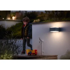 Philips Lighting Hedgehog wall lantern anthracite 1x42W Outlet