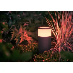 Philips Lighting Hue Calla sokkellamp wit en gekleurd licht laag basis Best