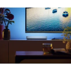 Philips Lighting Hue Play Tafellamp Wit 2-pack Discount