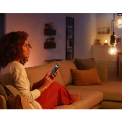 Philips Lighting Hue White filament A60 Online