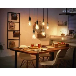 Philips Lighting Hue White filament A60 Online