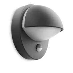 Philips Lighting June wall lantern anthracite 1x42W 230V