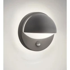 Philips Lighting June wall lantern anthracite 1x42W 230V