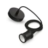 Philips Lighting LED Lamp Pendel Zwart