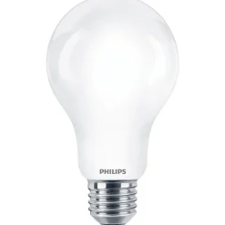 Philips Lighting LED-lamp E27 A67 13W-120W CW Hot