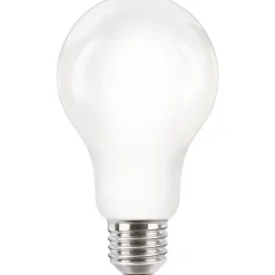 Philips Lighting LED-lamp Classic E27 A67 13W-120W WW Sale
