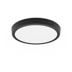 Philips Lighting MAGNEOS SF DL252 RD 284 20W 27K BL 06 Sale