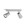 Philips Lighting PAISLEY bar/tube aluminium 2xNW 230V Best