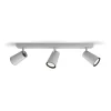 Philips Lighting PAISLEY bar/tube aluminium 3xNW 230V Best