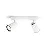 Philips Lighting PAISLEY bar/tube white 2xNW 230V Sale