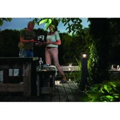 Philips Lighting Parterre post black 1x8W 230V Online