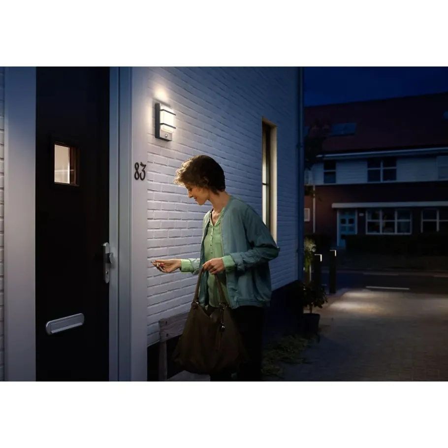 Philips Lighting Petronia IR wall lantern anthracite 1x12 Clearance