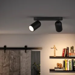 Philips Lighting PONGEE bar/tube black 2xNW 230V Best