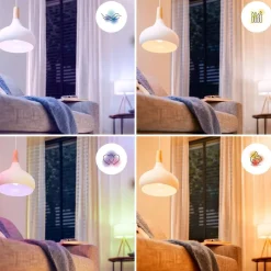Philips Lighting Smart LED Lamp 4,9 W (gelijk aan 40 W) P45 E27 Online