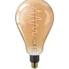 Philips Lighting Smart LED Filamentlamp amberkleurig 6 W (gelijk aan 25 W) PS160 E27 Online
