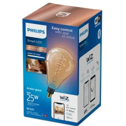Philips Lighting Smart LED Filamentlamp amberkleurig 6 W (gelijk aan 25 W) PS160 E27 Online