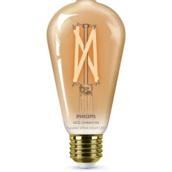 Philips Lighting Smart LED Filamentlamp amberkleurig 7 W (gelijk aan 50 W) ST64 E27 x2 Outlet