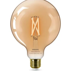 Philips Lighting Smart LED Filamentlamp Globe amberkleurig 7 W (gelijk aan 50 W) G125 E27 Outlet