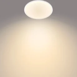 Philips Lighting Superslim CL550 SS RD 18W 27K W WV 06 Discount