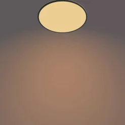 Philips Lighting Superslim CL550 SS RD 36W 27K B WV 06 Sale