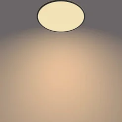 Philips Lighting Superslim CL550 SS RD 36W 27K B WV 06 Sale