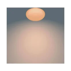 Philips Lighting TOBA CL505 SS RD 23W 27-65K W HV RC 06 Hot